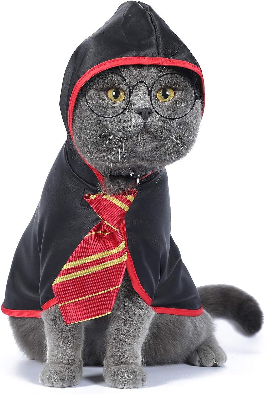 Anime-Inspired Cat Halloween Costume - Wizard-Themed Apparel for Small Dogs and Kittens (Size S) - Red