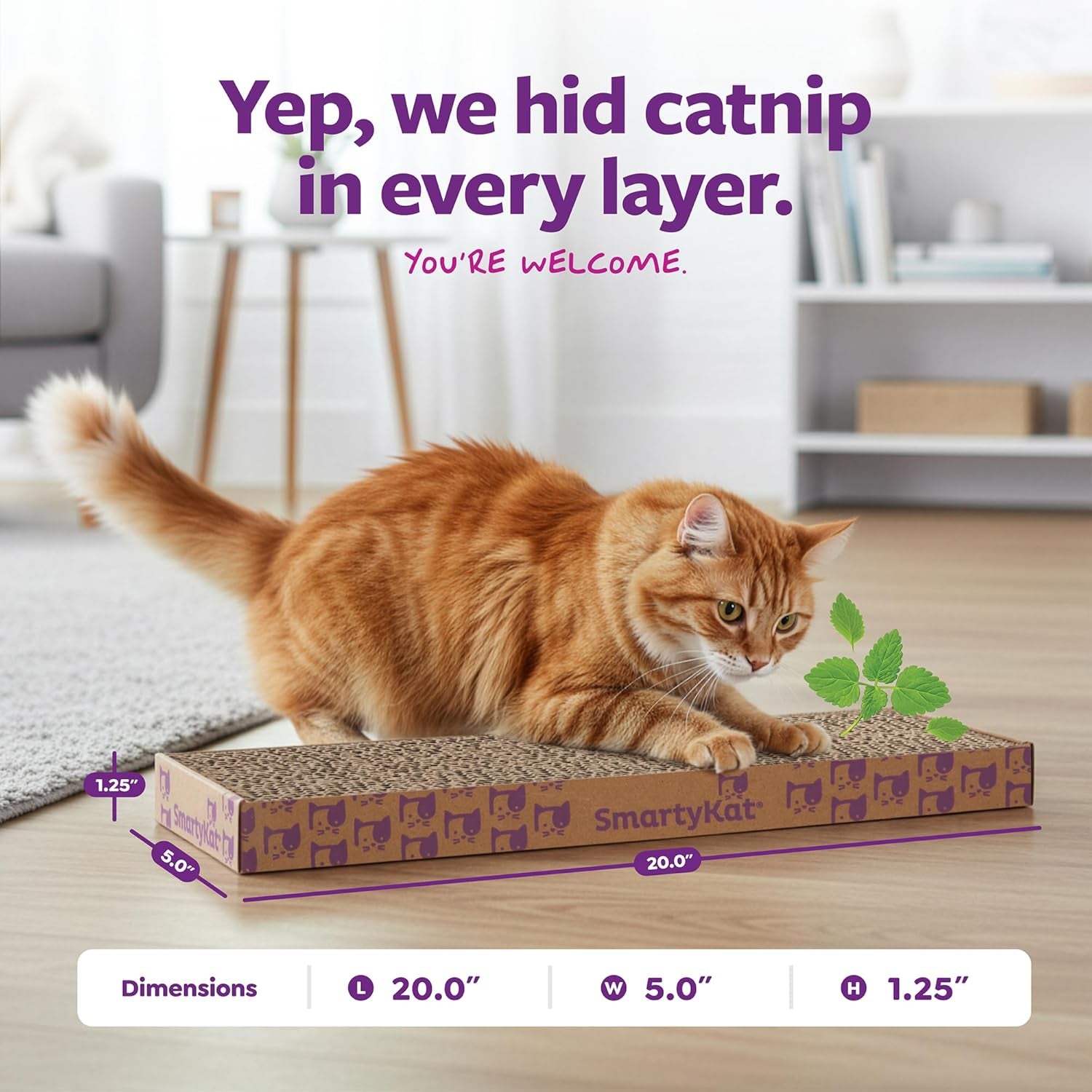 Corrugated Cat Scratcher with Catnip Infusion Technology - Brown, Single Wide