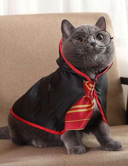 Anime-Inspired Cat Halloween Costume - Wizard-Themed Apparel for Small Dogs and Kittens (Size S) - Red