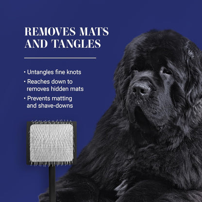 Big K Professional Slicker Brush for Dogs (Goldendoodles, Labradoodles, Poodles) - Efficient Grooming Tool for Fluffing, Detangling, and Styling, Black, Large
